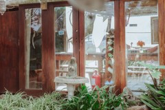 Kula Malaika Kula Cafe