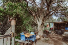 Kula Malaika Kula Cafe